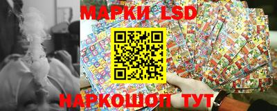 шишки Будённовск