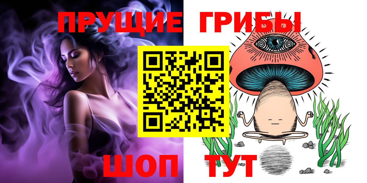 Псилоцибиновые грибы Psilocybe Новочебоксарск